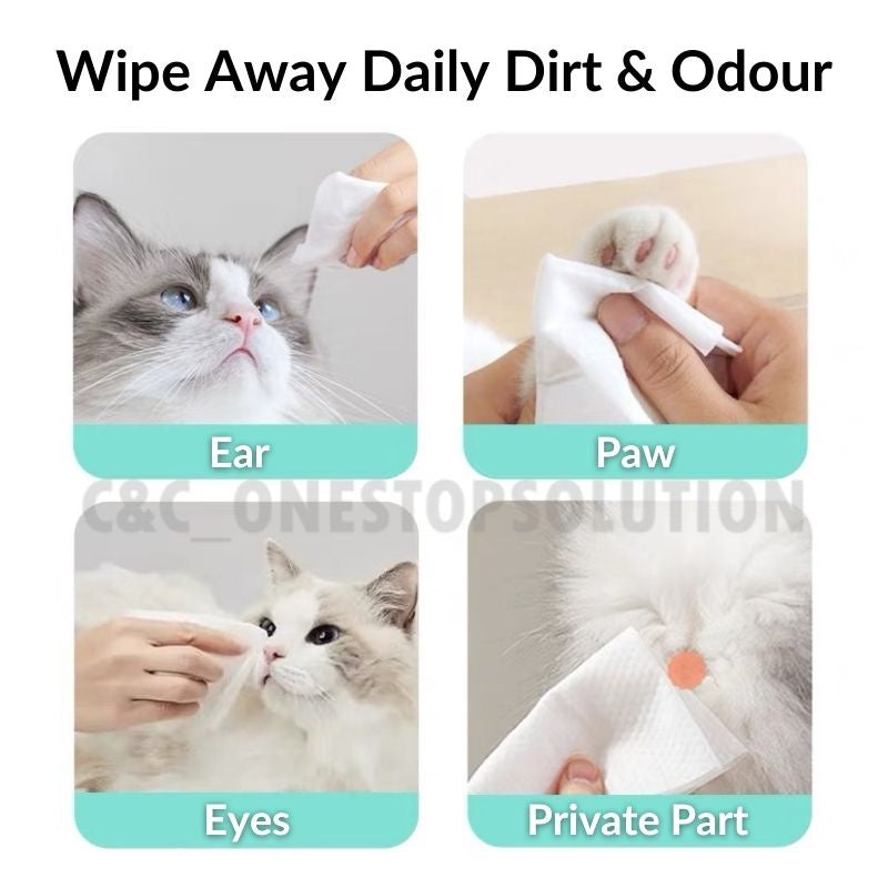 Pet Wet Tissue Stain Remover Cleaning Paper Towels for Dog Cat Eye Wet Wipes Tear Stain Remover Gentle