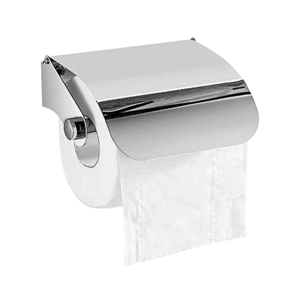 Stainless Steel Toilet Paper Holder