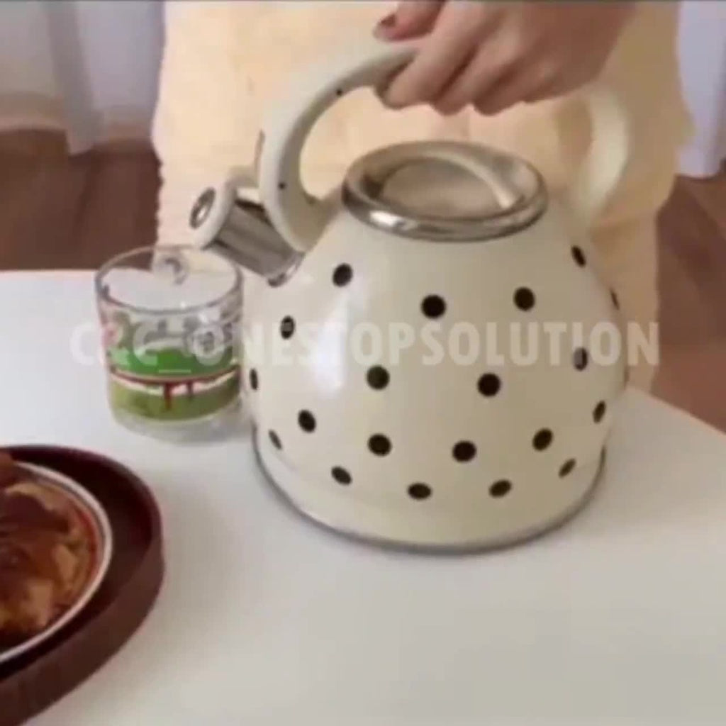 INS KETTLE STAINLESS STEEL Jug Cerek Elektrik Tea Maker Hot Water Pemanas air panas 3500ML INS