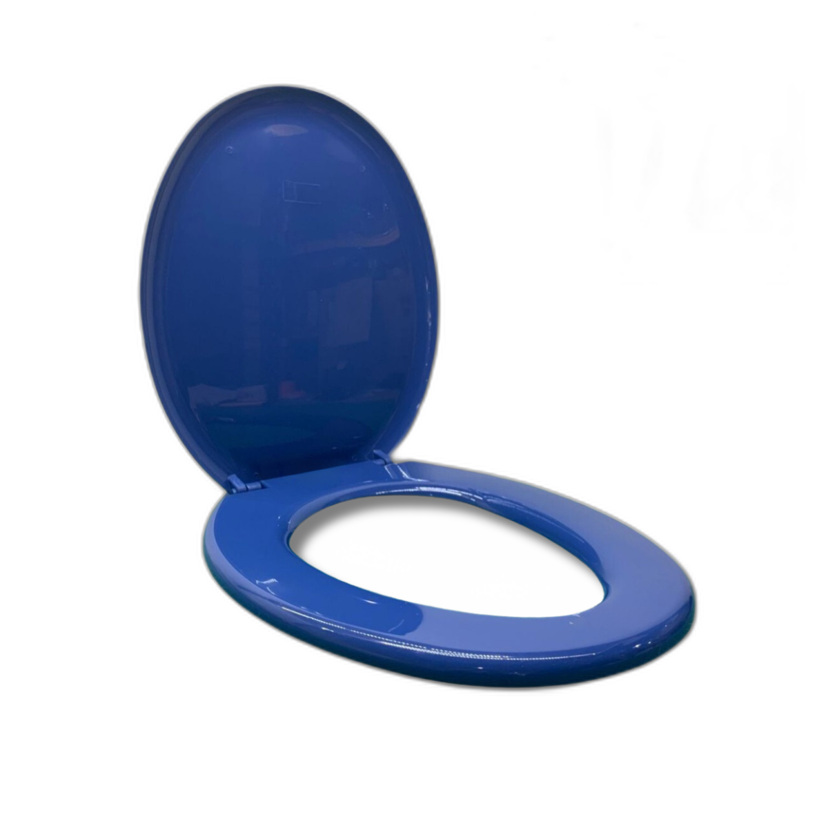 Toilet Seat Cover With Screw - Sorento Blue