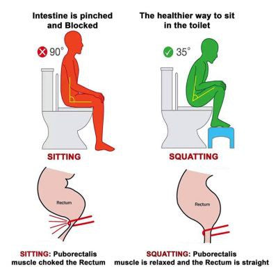 Footrest Toilet Squaty Foot Step Potty Healthy Toilet Squat Toilet Stool Footrest Bathroom Sit Tandas Letak Kaki Squat