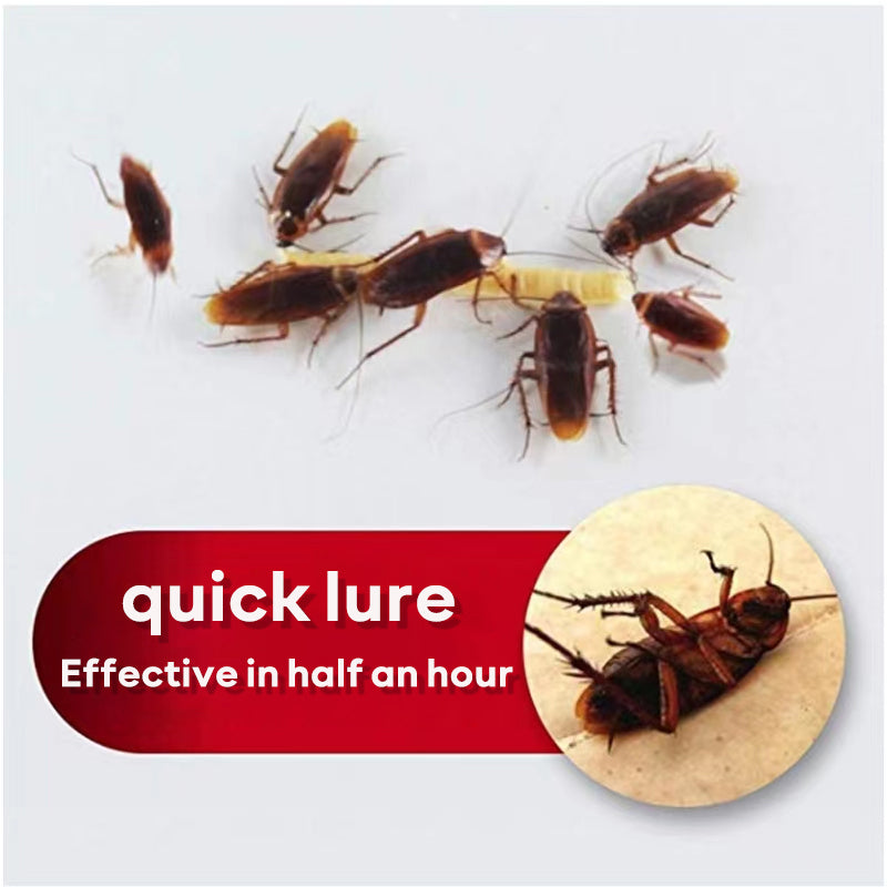 Cockroach Killer Gel Bait Controz | Kill Cockroach Colony | Proven Effectiveness