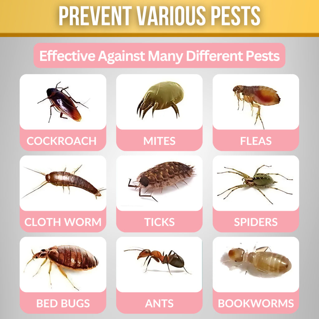 C&C 48pcs Japan Floral Scent Mothball Pest Control Anti-Bug Anti-Mold Mothball Ubat Gegat Lipas